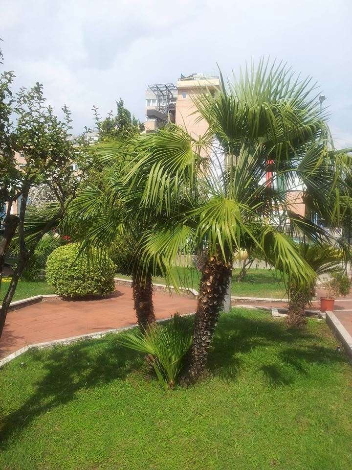 Hotel De La Ville Central Латина Съоръжения снимка